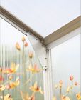 8x6, 8x8, pequeños invernaderos de la afición del policarbonato 10x10/invernadero ornamental durable