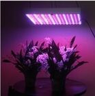 LED crecer RCG14W luz de plantas de invernadero resolver la disipación de calor excelentemente