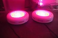 mejor LED crecen plantas luz bombillas RCGOFU 90W (90x1W) para invernadero