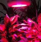 Hidroponía 90 w-GU &amp; horticultura &amp; invernadero llevaron crecer luces para plantas de interior