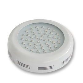 La planta del poder más elevado LED crece 3watt ligero 85 favorables al medio ambiente - 265v CRI > 80