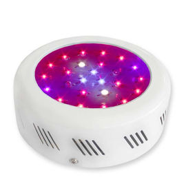 La planta de florecimiento del LED crece crecimiento vegetal ligero 3watt con 50000 horas de vida útil larga