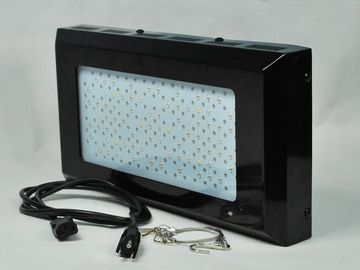 La planta roja y azul de intensidad alta del LED crece Ligh 3watt para la iluminación interior del huerto