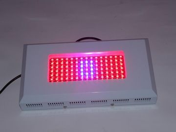 El poder más elevado LED hidropónico crece la CA 85 de Lightst 1watt ~ 264V, invernadero crecen luces