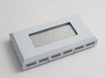 La alta planta del efecto luminoso LED crece las luces LED ligeras de 90w, azules y rojas para crecer