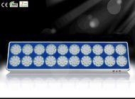 Barato alta potencia LED crecen plantas luces RCAPO20 de efecto invernadero