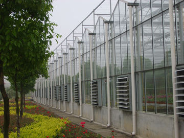 sección de 4000m m multi - atraviese los invernaderos de cristal comerciales para la agricultura