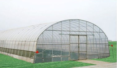 invernadero económico del túnel de los invernaderos comerciales del palmo de 10000m m