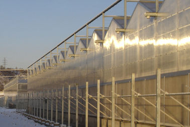 3 cantos por el palmo multi - atraviese los invernaderos comerciales del policarbonato, sección de 4000m m