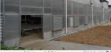 La UE del invernadero de la película modela