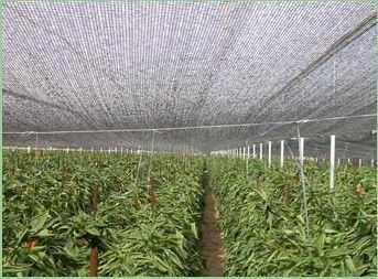 Red al aire libre de la sombra de Sun del invernadero para la verdura, crecimiento de la flor