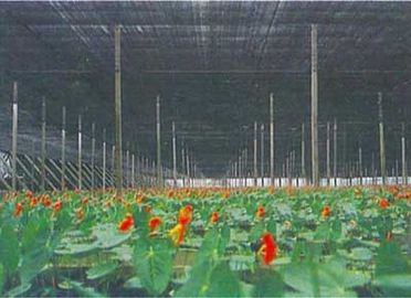 Red al aire libre de la sombra de Sun del invernadero para la verdura, crecimiento de la flor