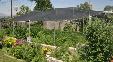 Alta red de la sombra del jardín del poder de la pantalla para el patio, HDPE con ultravioleta