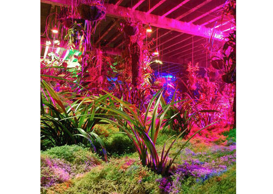 la planta interior de los 0.6m LED crece las luces para el crecimiento de la casa verde y del hidrocultivo
