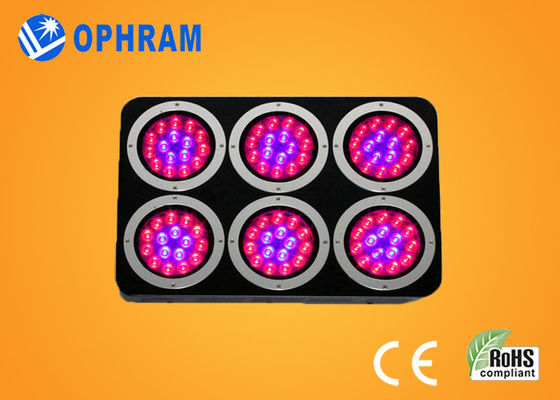 El espectro completo LED del poder más elevado IP20 crece las luces para el almácigo/frondoso