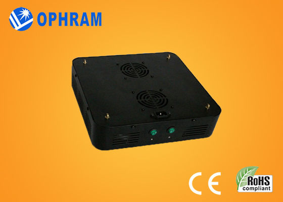 el espectro completo LED el derecho de 120W IP20 AC85-265V Epistar 10%-90% crece luces