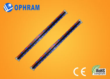 El alto brillo Epistar LED rojo y azul de IP65 crece luces con el CE/ROHS