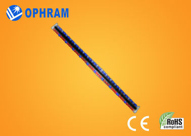 El alto brillo Epistar LED rojo y azul de IP65 crece luces con el CE/ROHS