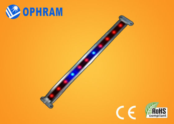 10W SMD EL LED vegetal/de florecimiento de 2835 crecen luces con ángulo de haz 180°