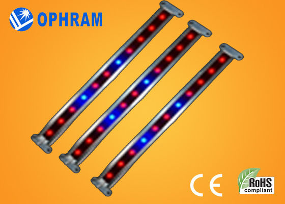 10W SMD EL LED vegetal/de florecimiento de 2835 crecen luces con ángulo de haz 180°