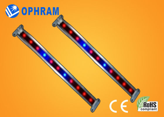 10W SMD EL LED vegetal/de florecimiento de 2835 crecen luces con ángulo de haz 180°