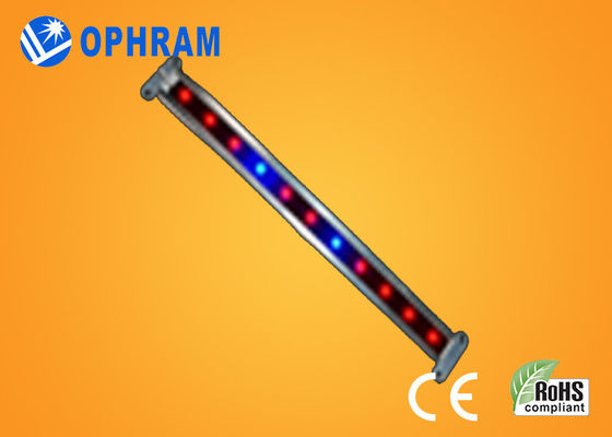 10W SMD EL LED vegetal/de florecimiento de 2835 crecen luces con ángulo de haz 180°