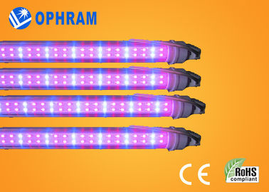 50Hz/60Hz 230V/240V el espectro completo LED crece las luces para la verdura