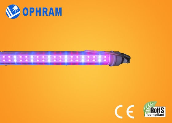 Interiores del tomate/de la lechuga/de la marijuana del poder más elevado IP20 llevados crecen las luces AC85V-265V