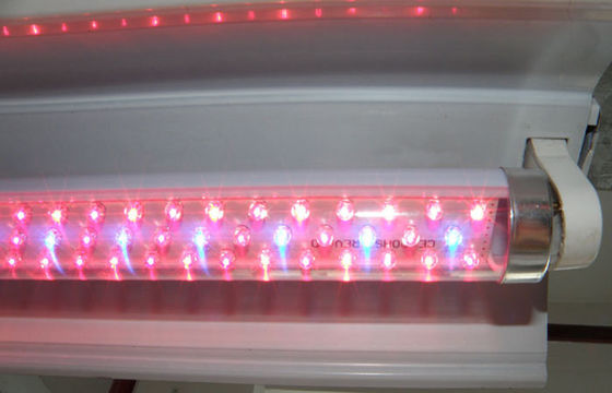 La planta de G13 LED crece las luces rojas e hidropónico azul para el invernadero de la agricultura