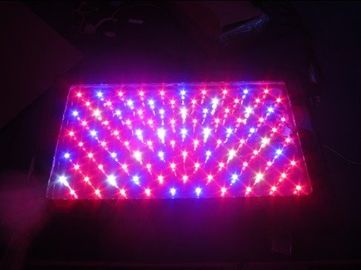 el invernadero LED del poder más elevado 120W crece la luz
