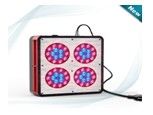 El invernadero LED del hidrocultivo crece las luces para las plantas interiores que Apolo 4 LED crece la fabricación de rápido crecimiento 60pcs*3w de las luces
